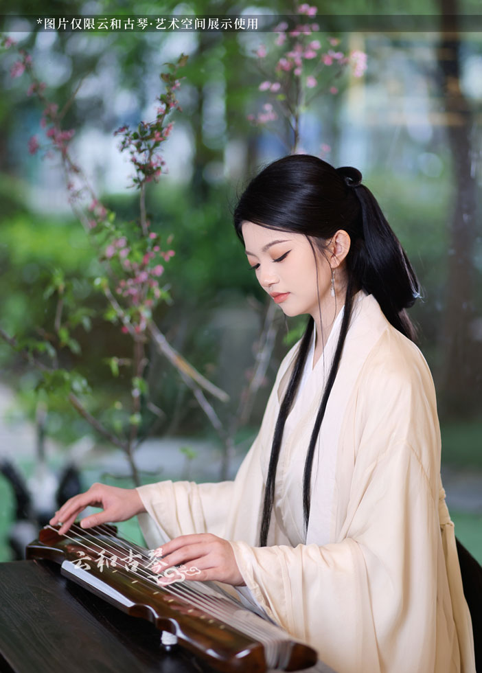 琴人风采