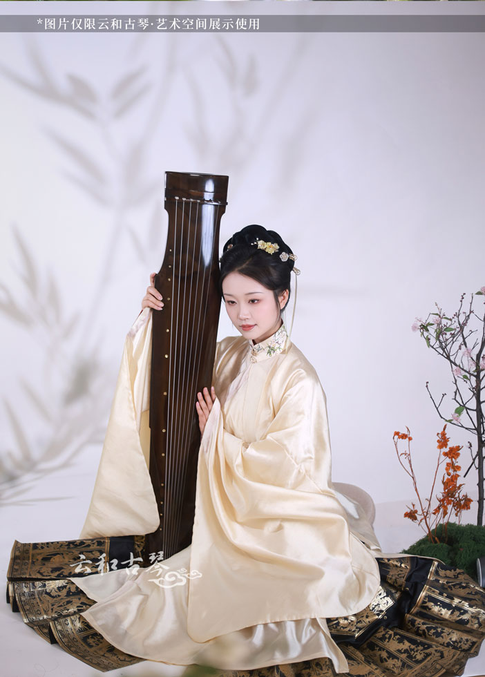 琴人风采