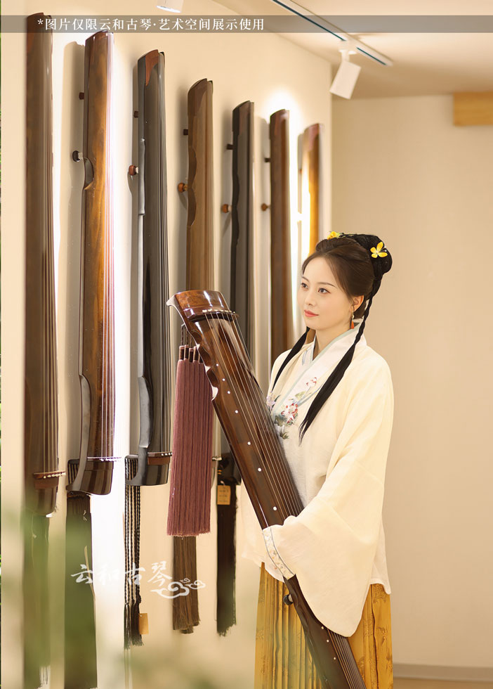 琴人风采